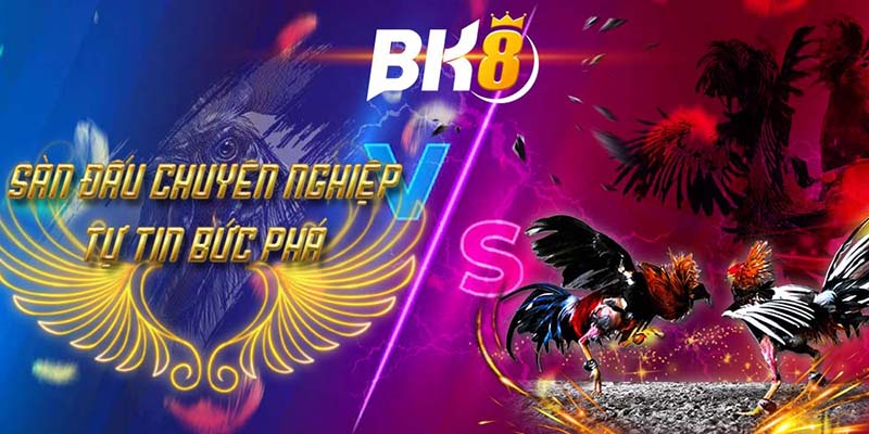 BK8 - Đá gà trực tuyến chất lượng cao